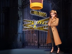 Oyun Pin Detective