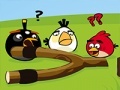 Oyun Angry Birds Go Crazy