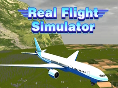 Oyun Real Flight Simulator 
