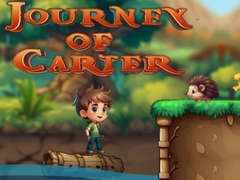 Oyun Journey Of Carter