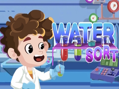 Oyun Water Sort