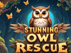 Oyun Stunning Owl Rescue