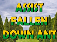 Oyun  Assist Fallen Down Ant