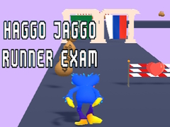 Oyun Haggo Jaggo Runner exam
