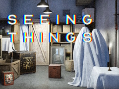 Oyun Seeing Things