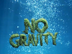 Oyun No Gravity