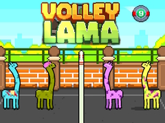 Oyun Volley Lama