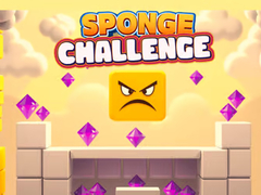Oyun Sponge Challenge
