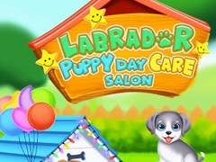 Oyun Labrador Puppy Daycare Salon