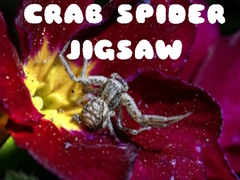 Oyun Crab Spider Jigsaw