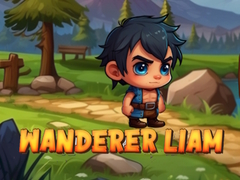 Oyun Wanderer Liam