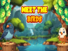 Oyun Meet The Birds 