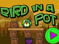 Oyun Bird In A Pot