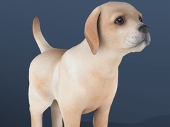 Oyun IDLE Pet
