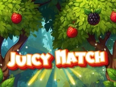 Oyun Juicy Match