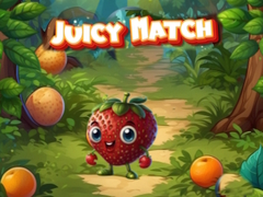 Oyun Juicy Match