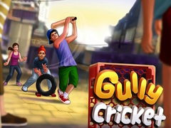 Oyun Gully Cricket