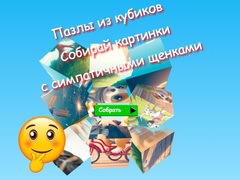 Oyun Jigsaw Cube Puzzles Collect Pictures with Cute Puppies