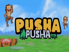 Oyun Pusha Pusha