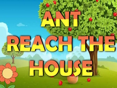 Oyun Ant Reach the House