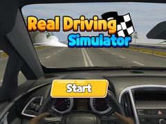 Oyun Real Driving Simulator