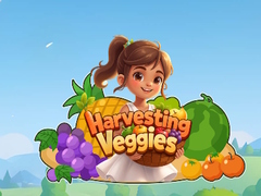 Oyun Harvesting Veggies