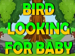 Oyun Bird Looking For Baby