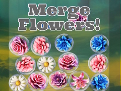 Oyun Merge Flowers!