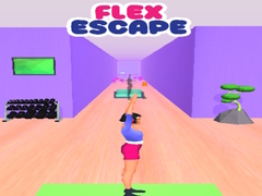 Oyun Flex Escape