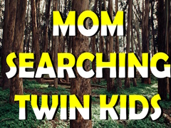 Oyun Mom Searching Twin Kids