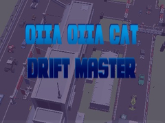 Oyun Oiia Oiia Cat Drift Master