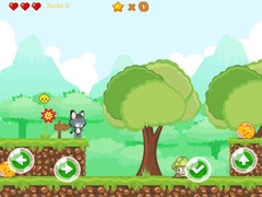 Oyun Baby Cat Adventure