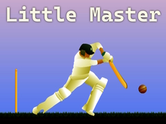 Oyun Little Master