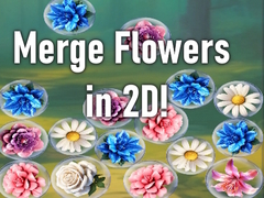 Oyun Merge Flowers in 2D!