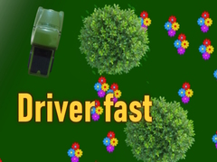 Oyun Driver fast
