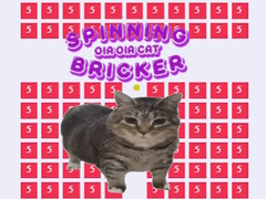 Oyun Spinning Uia Uia Cat Bricker