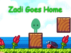 Oyun Zadi Goes Home