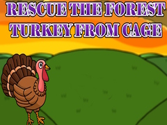 Oyun Rescue the Forest Turkey from Cage