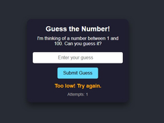 Oyun Number Guessing