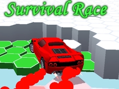 Oyun Survival Race