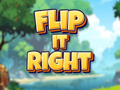 Oyun Flip It Right