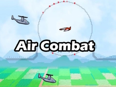 Oyun Air combat