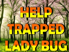 Oyun Help Trapped Lady Bug