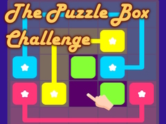 Oyun The Puzzle Box Challenge