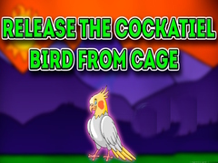 Oyun Release the Cockatiel Bird from Cage