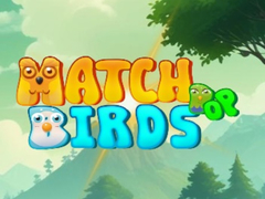 Oyun Match Pop Birds