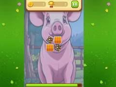 Oyun Farm Animals Memory Cards