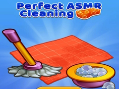 Oyun Perfect Asmr Cleaning