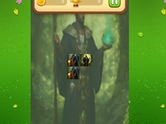 Oyun Nature Druid Memory Match