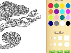 Oyun Adult Animal Coloring Book for Kids